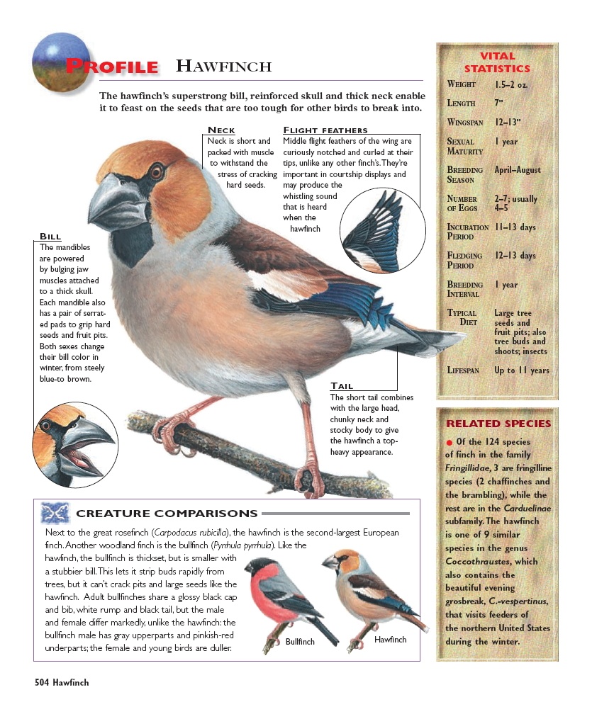 کتاب پرنده شناسی
