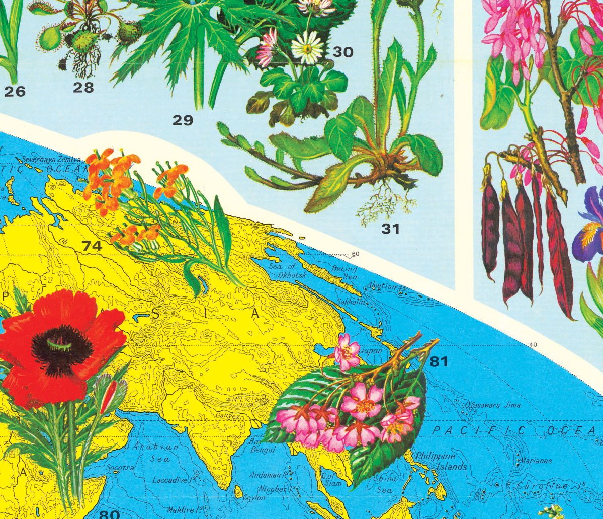 نقشه مصور گلهای جهان منتشر شده در 1972 میلادی