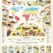 نقشه حشرات دنیا 1973