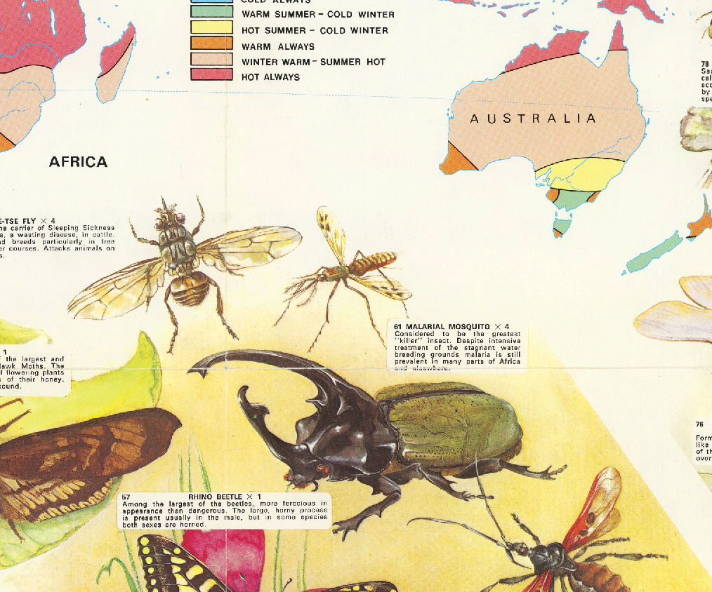 نقشه گونه های حشرات