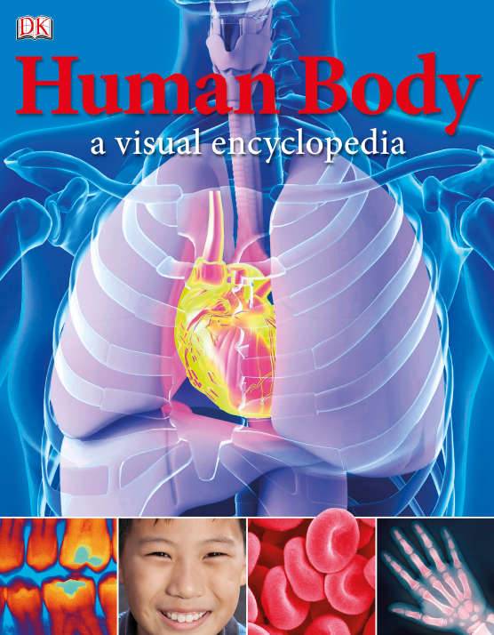 Human Body a visual encyclopedia