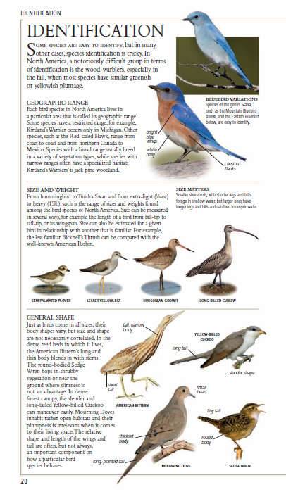 Birds Of North America Book