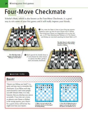 چگونه شطرنج بازی کنیم,شطرنج