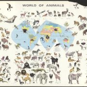 نقشه حیوانات جهان ۱۹۷۰ میلادی