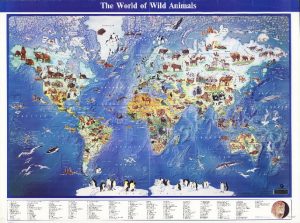 نقشه حیوانات جهان ۱۹۹۴ میلادی