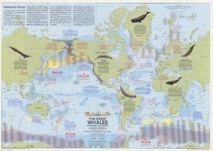 نهنگ های بزرگ جهان ۱۹۷۶ میلادی