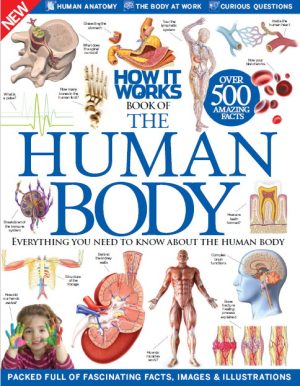 بدن انسان چگونه کار می کند