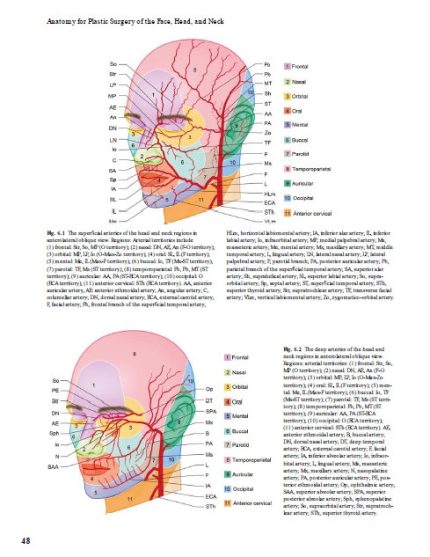Anatomy for Plastic Surgery of the Face, Head and Neck