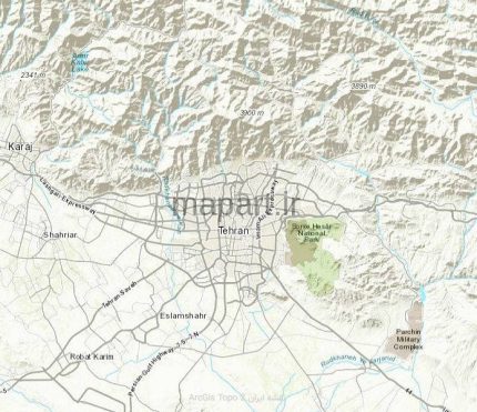 ArcGis topo