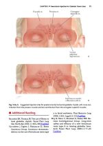 Cosmetic Injection Techniques