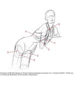 The artist's guide to drawing the clothed figure _ a complete resource on rendering clothing and drapery