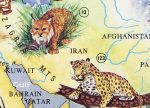 The world of wild animals 1994