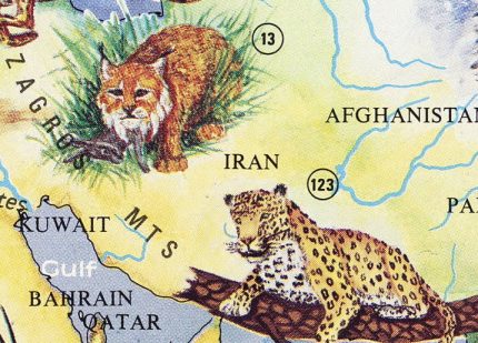 The world of wild animals 1994