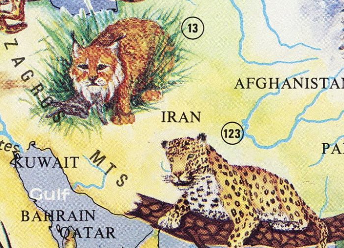The world of wild animals 1994