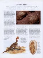 World Encyclopedia of Dinosaurs & Prehistoric Creatures