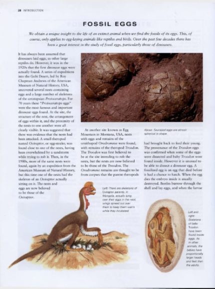 World Encyclopedia of Dinosaurs & Prehistoric Creatures