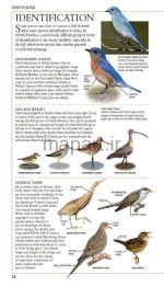 birds OF north america book