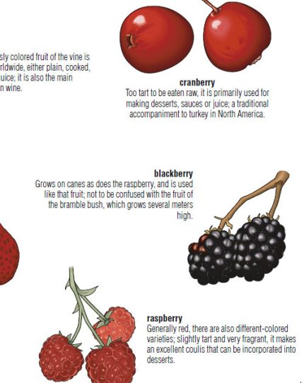 the visual dictionary of food & kitchen