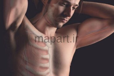 آناتومی طبیعی بدن