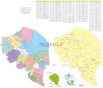 تقسیمات کشوری استان کرمان