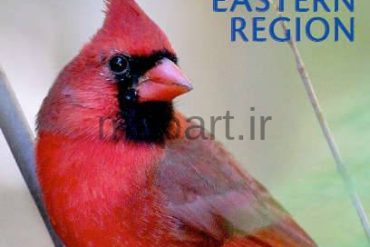 پرندگان آمریکای شمالی